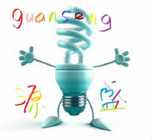 guansengtradingcologo2013jan.jpg